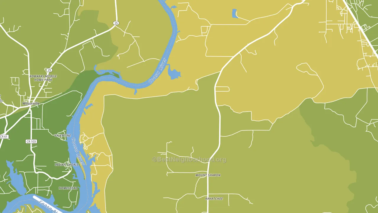 Coosa Pines, AL block-group voter-turnout map