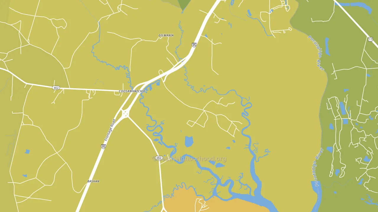 Coosawatchie, SC block-group voter-turnout map