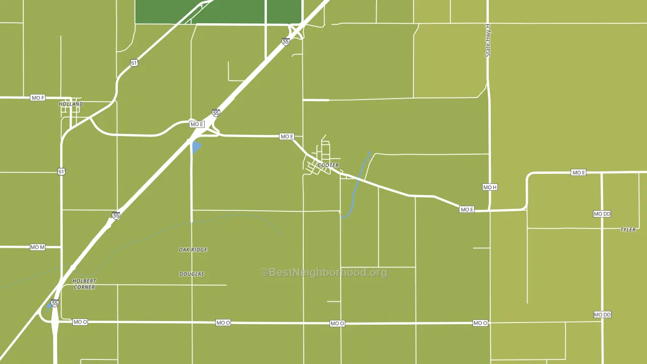 Cooter, MO block-group voter-turnout map
