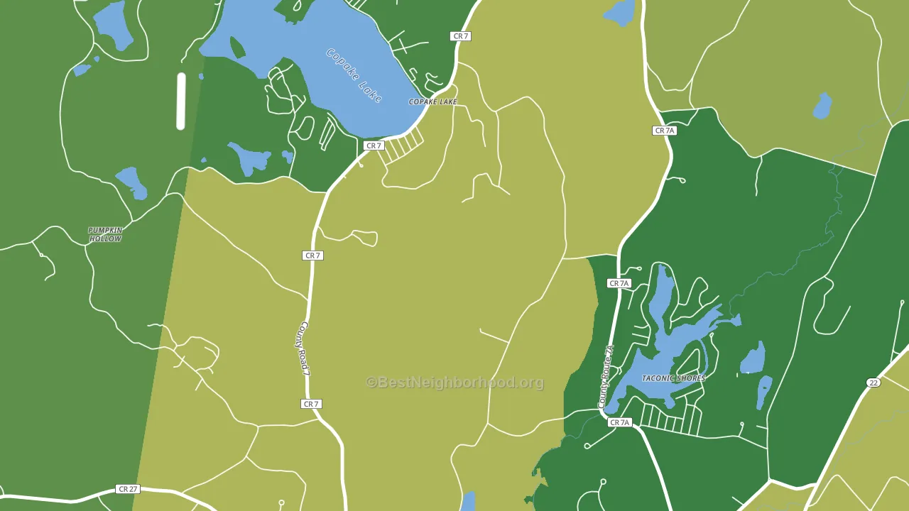 Copake Lake, NY block-group voter-turnout map