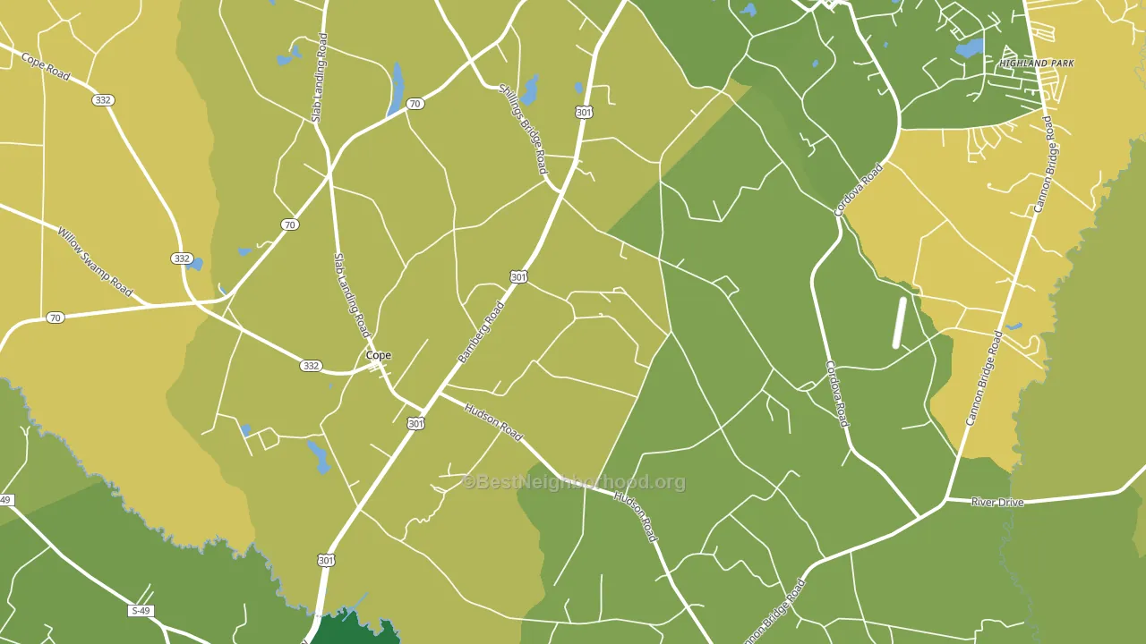 Cope, SC block-group voter-turnout map