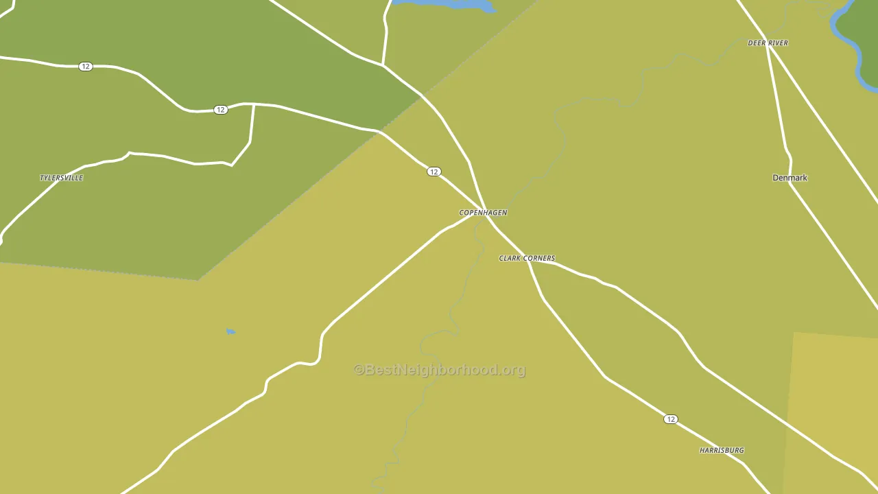 Copenhagen, NY block-group voter-turnout map