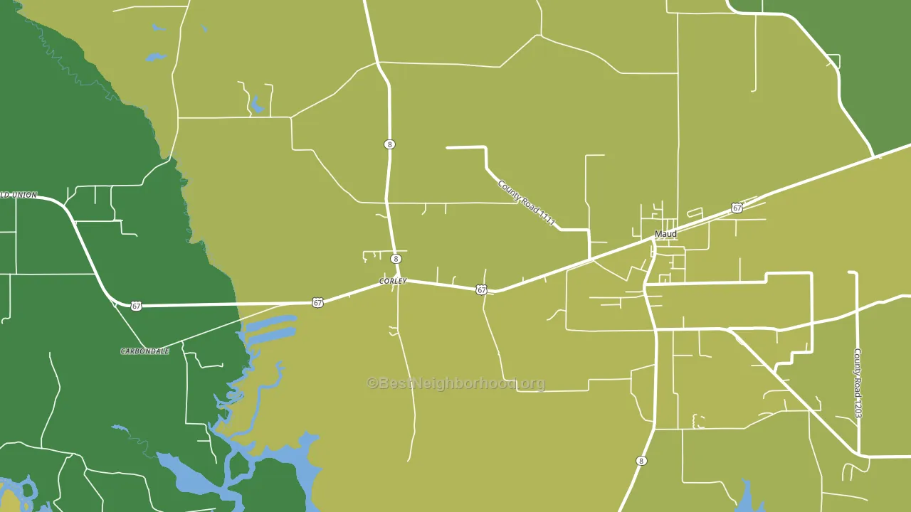 Corley, TX block-group voter-turnout map