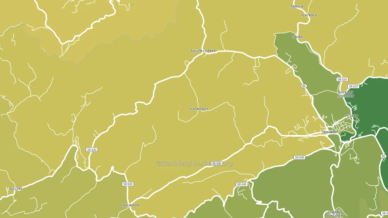 Corn Valley, VA block-group voter-turnout map