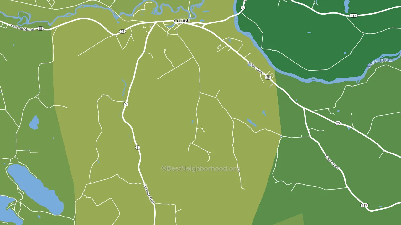 Cornish, ME block-group voter-turnout map