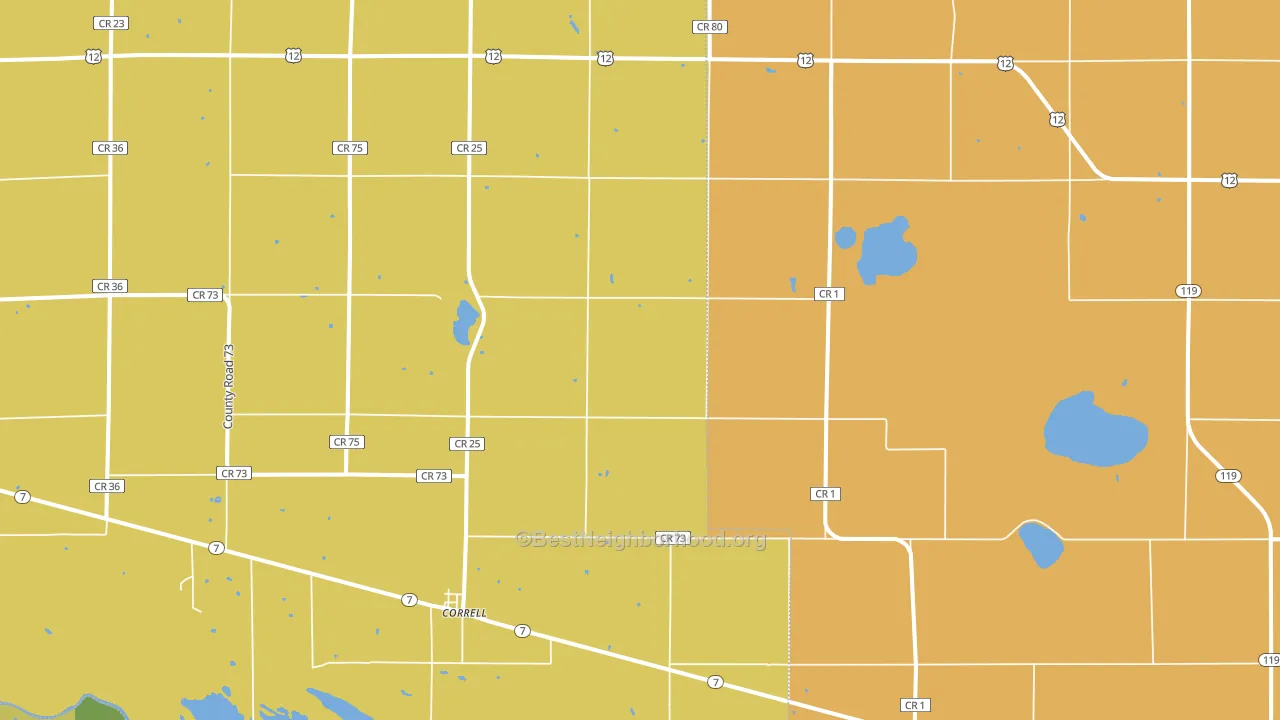 Correll, MN block-group voter-turnout map