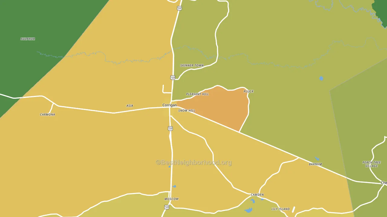 Corrigan, TX block-group voter-turnout map