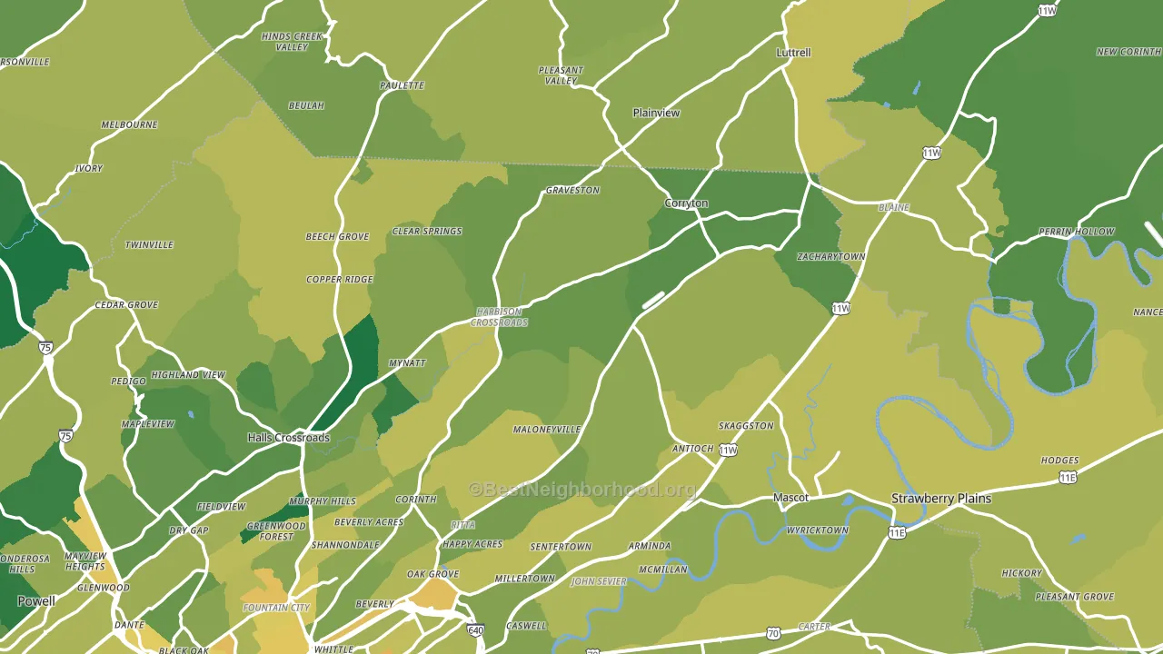 Corryton, TN block-group voter-turnout map