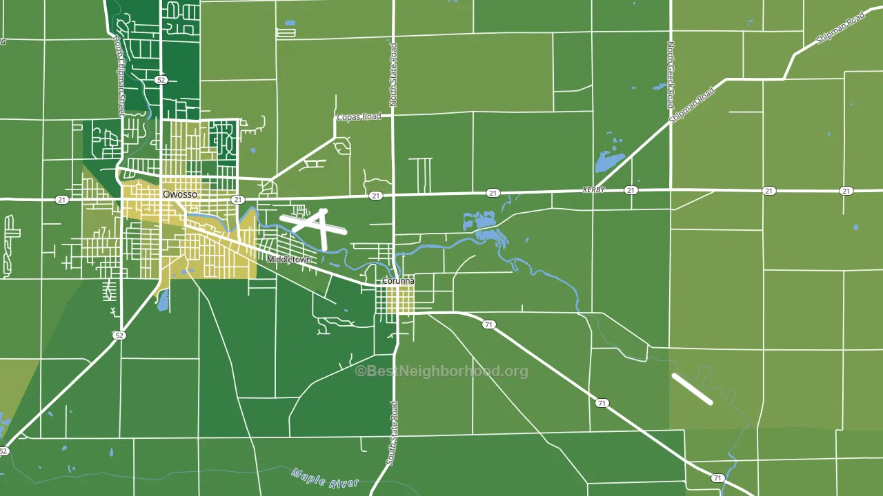 Corunna, MI block-group voter-turnout map
