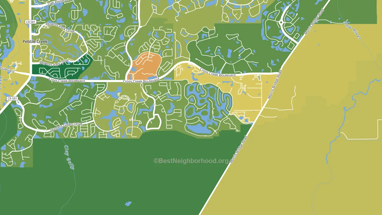 Cory Lake Isles, Tampa, FL block-group voter-turnout map