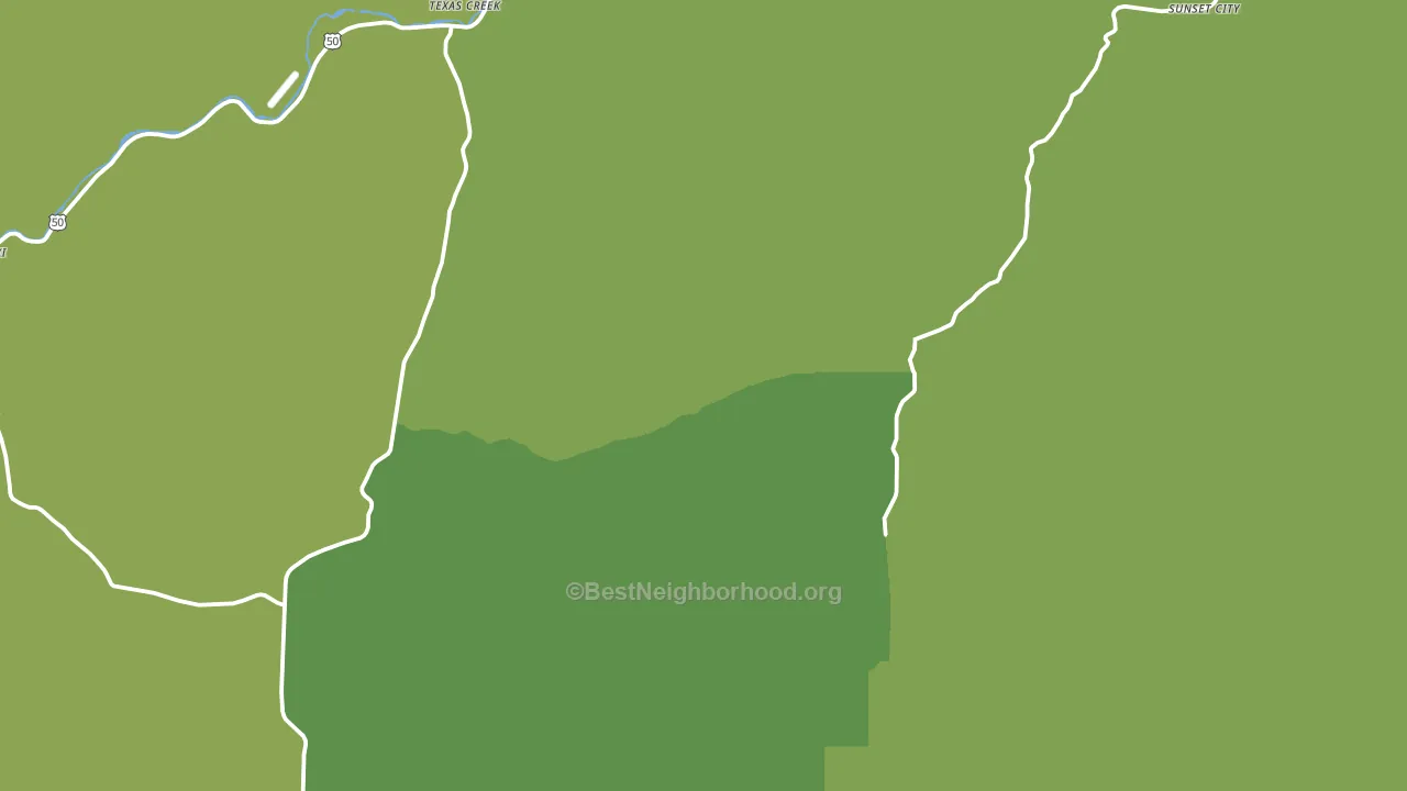 Cotopaxi, CO block-group voter-turnout map