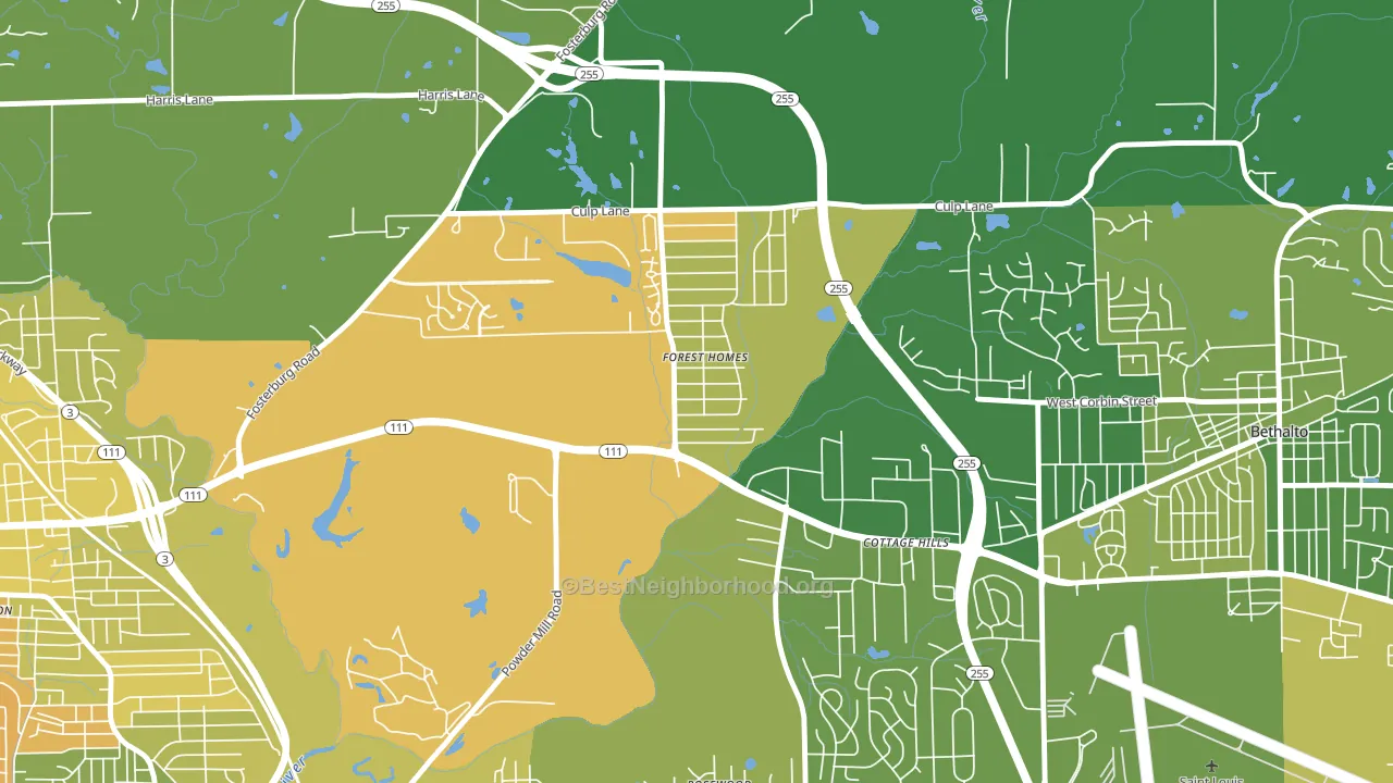 Cottage Hills, IL block-group voter-turnout map
