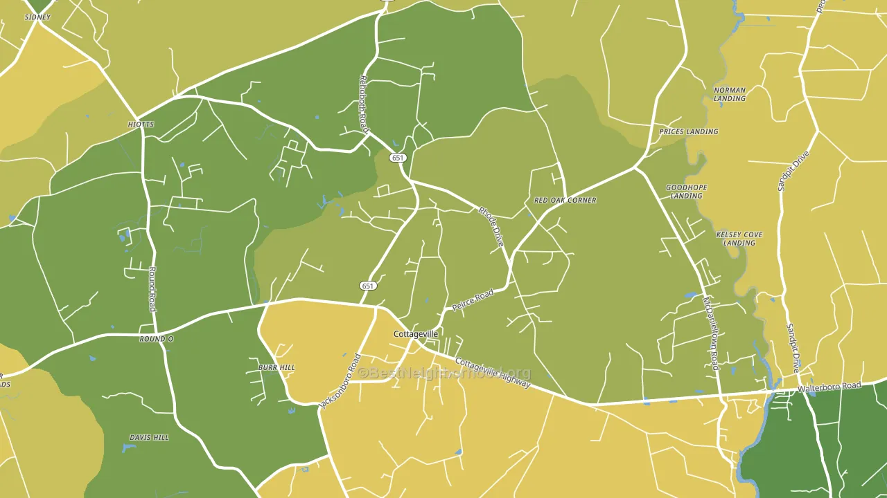Cottageville, SC block-group voter-turnout map