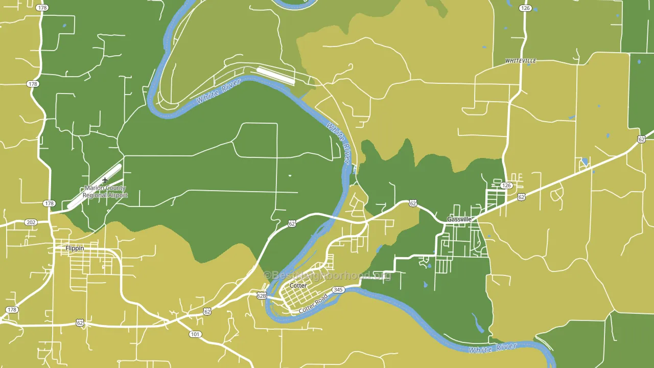 Cotter, AR block-group voter-turnout map