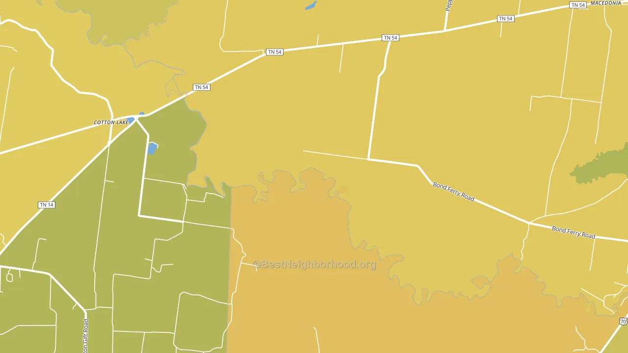 Cotton Lake, TN block-group voter-turnout map