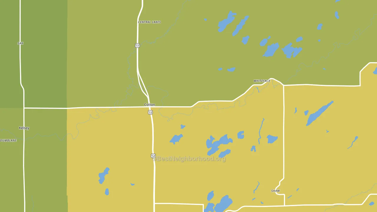 Cotton, MN block-group voter-turnout map