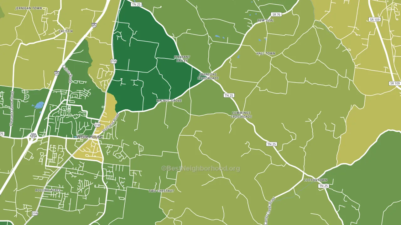 Cottontown, TN block-group voter-turnout map