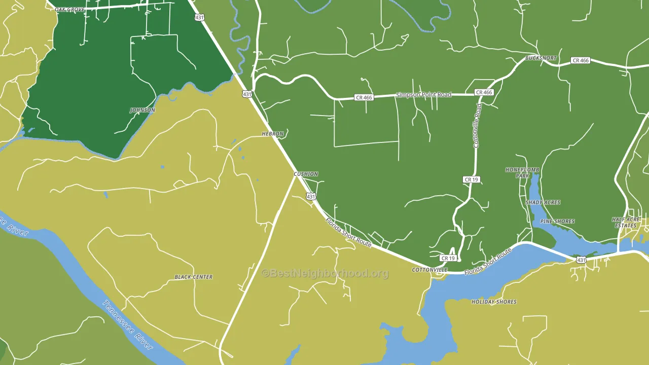 Cottonville, AL block-group voter-turnout map