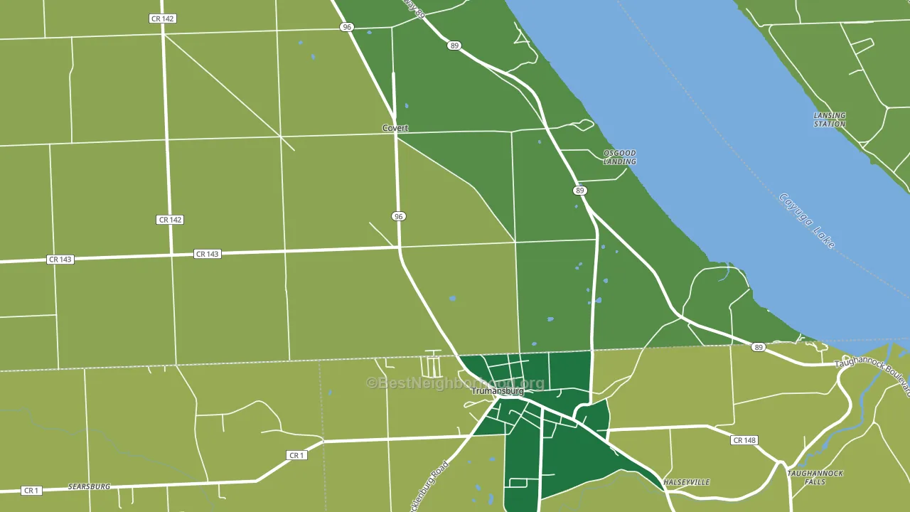 Covert, NY block-group voter-turnout map
