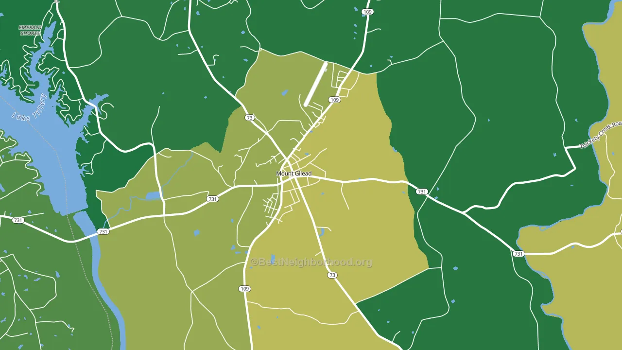 Covington, NC block-group voter-turnout map