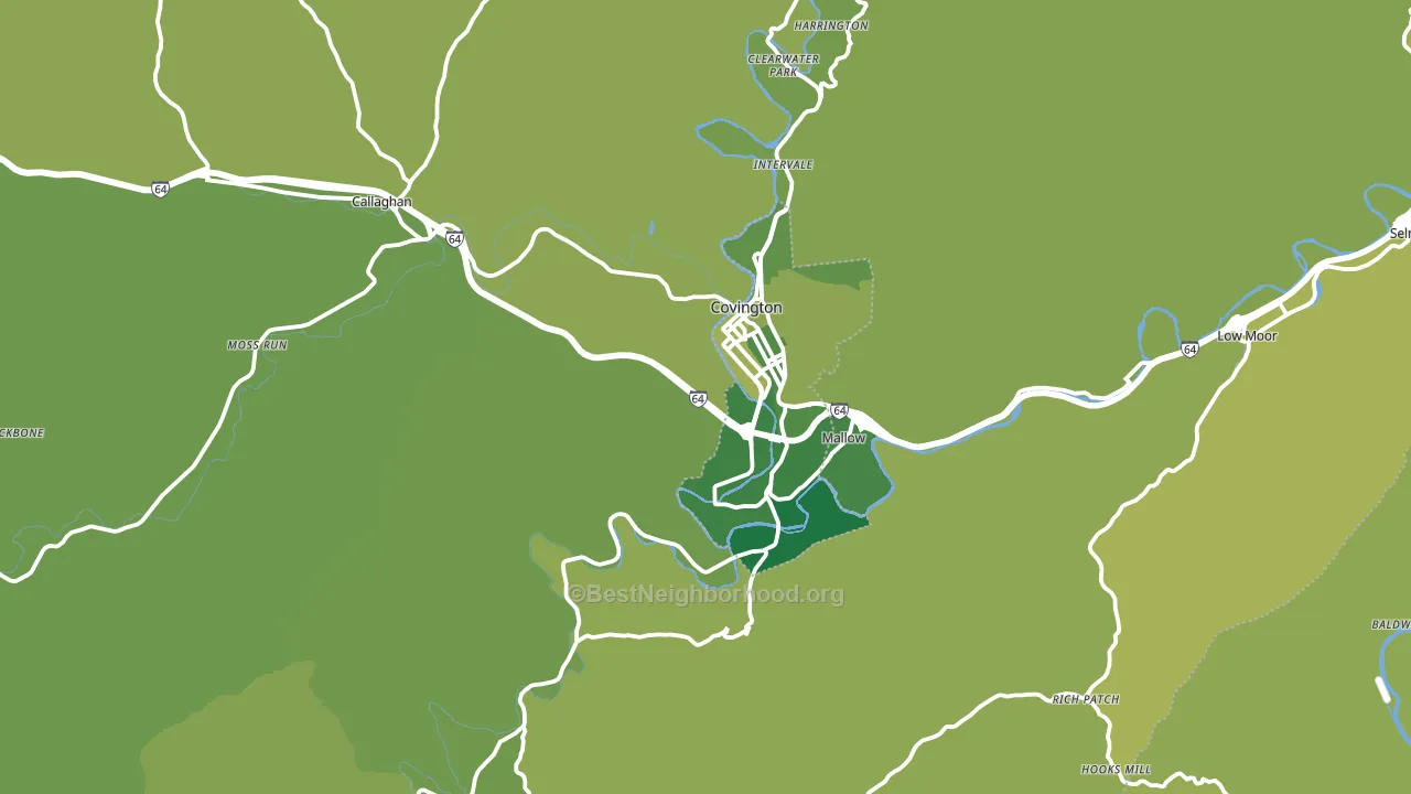 Covington, VA block-group voter-turnout map