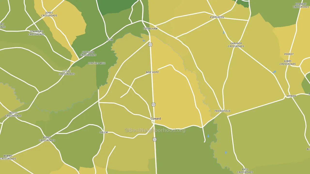 Coward, SC block-group voter-turnout map