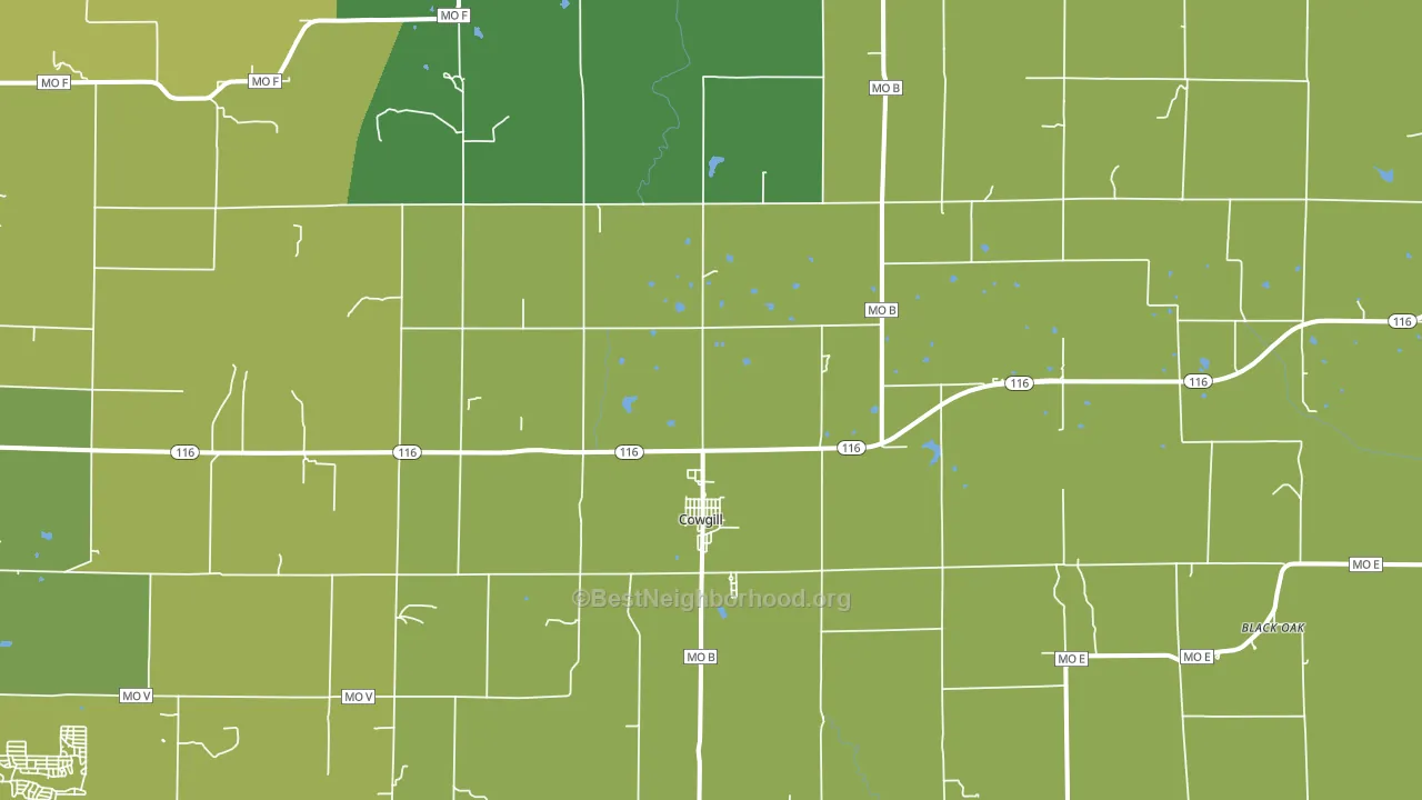 Cowgill, MO block-group voter-turnout map