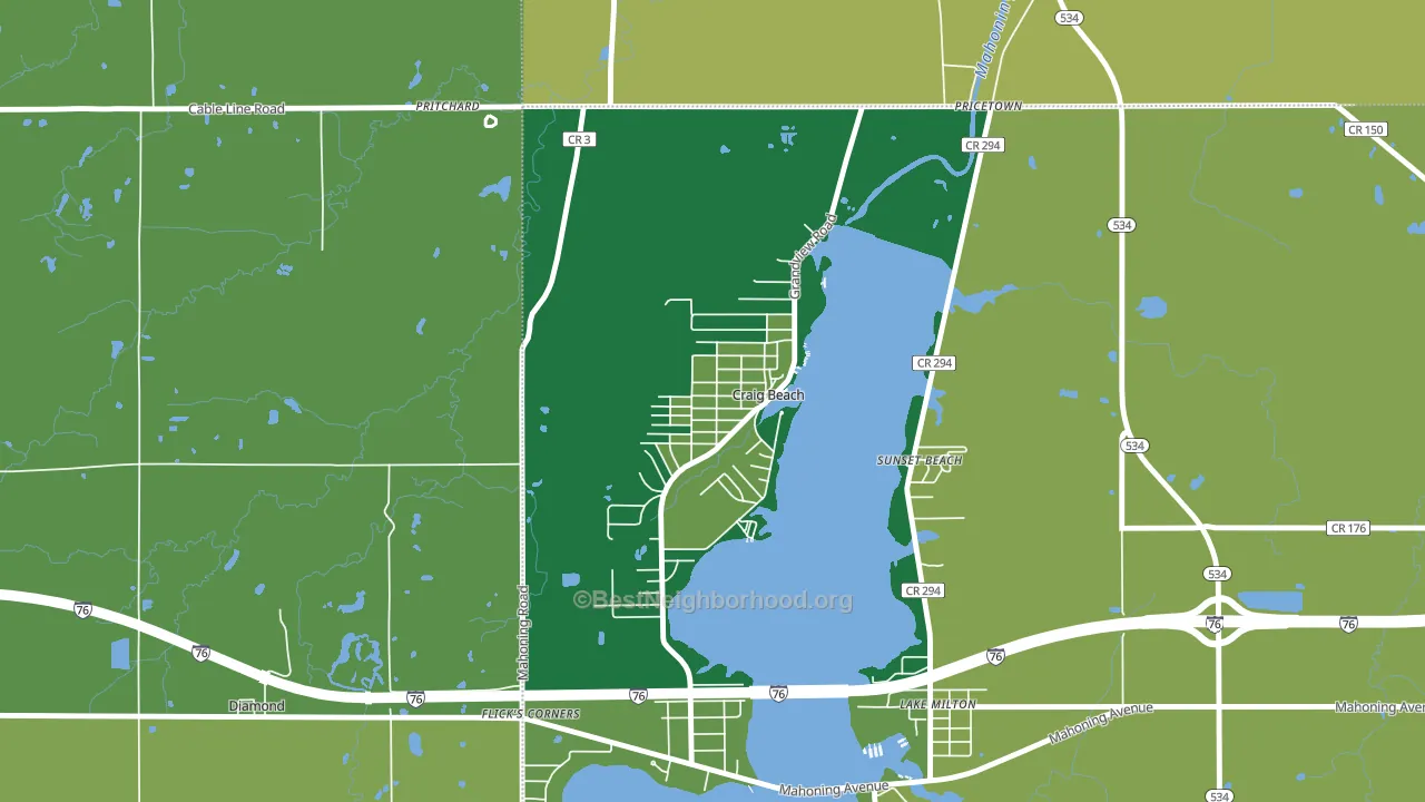 Craig Beach, OH block-group voter-turnout map