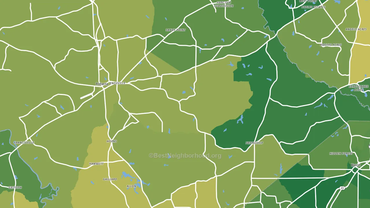 Crawford County, GA block-group voter-turnout map