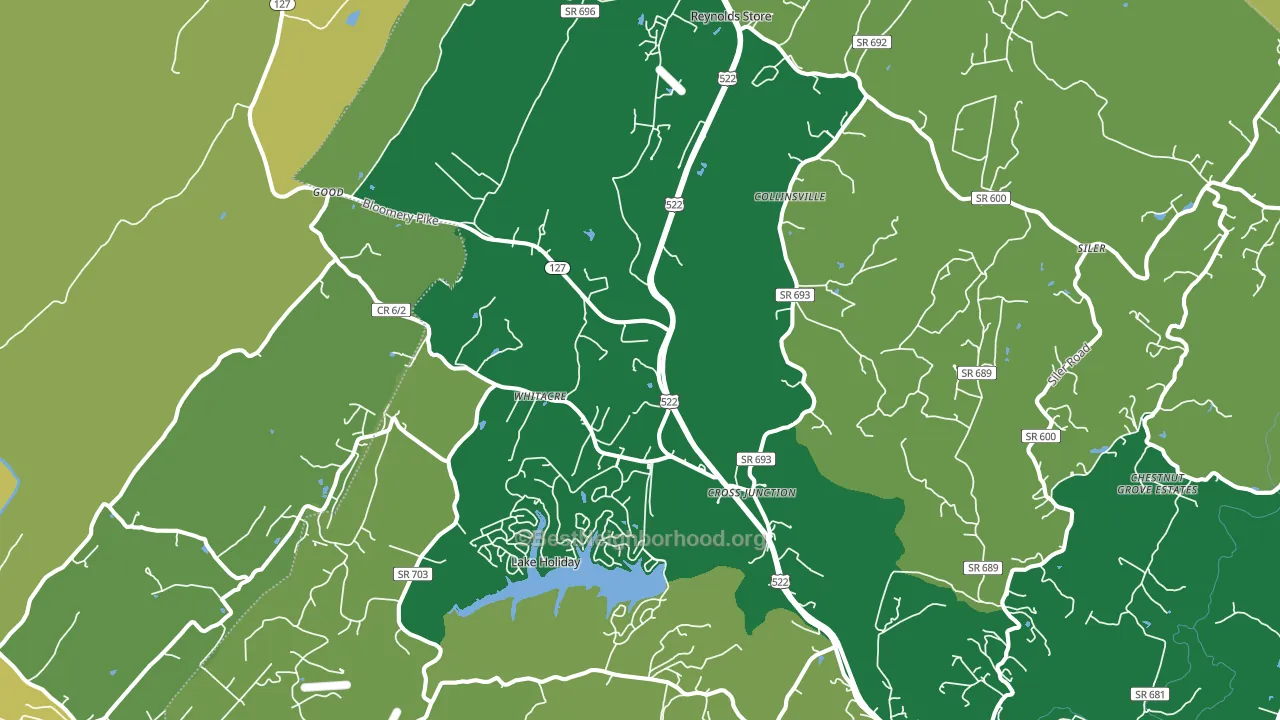 Cross Junction, VA block-group voter-turnout map