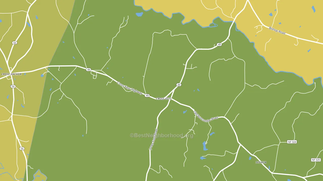Cross Keys, SC block-group voter-turnout map