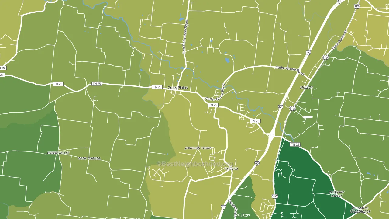 Cross Plains, TN block-group voter-turnout map