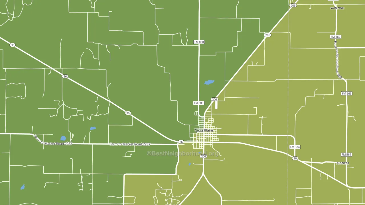 Cross Plains, TX block-group voter-turnout map