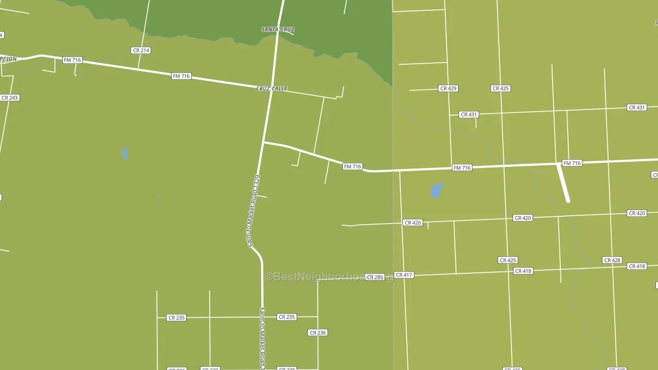 Cruz Calle, TX block-group voter-turnout map