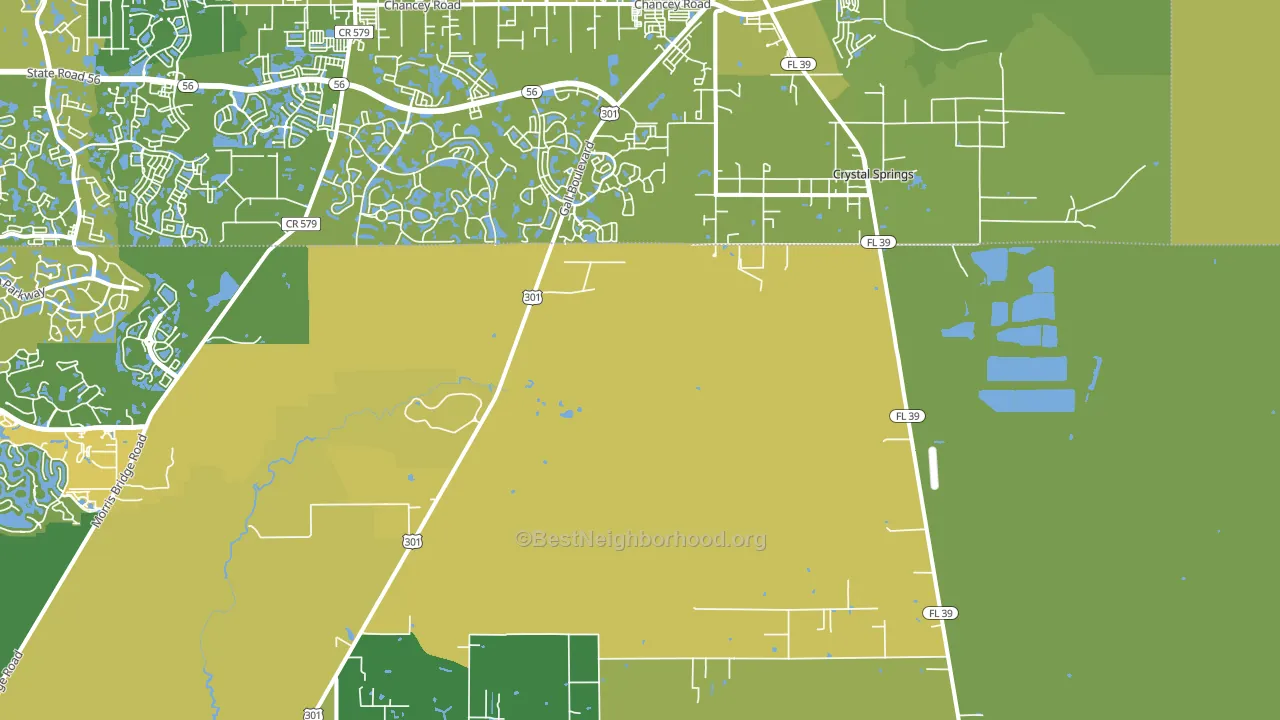 Crystal Springs, FL block-group voter-turnout map