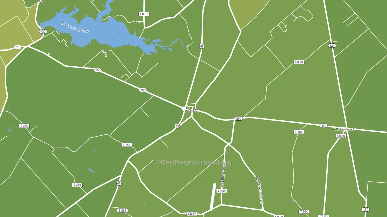 Cuba, OH block-group voter-turnout map