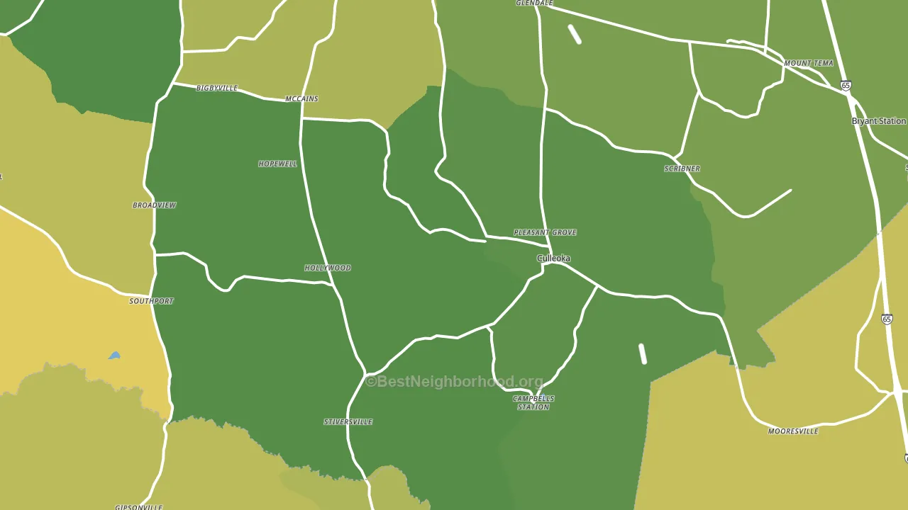 Culleoka, TN block-group voter-turnout map