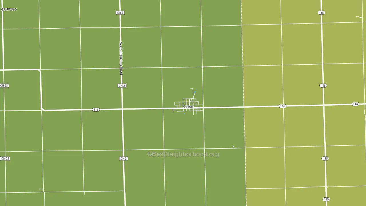 Cullom, IL block-group voter-turnout map