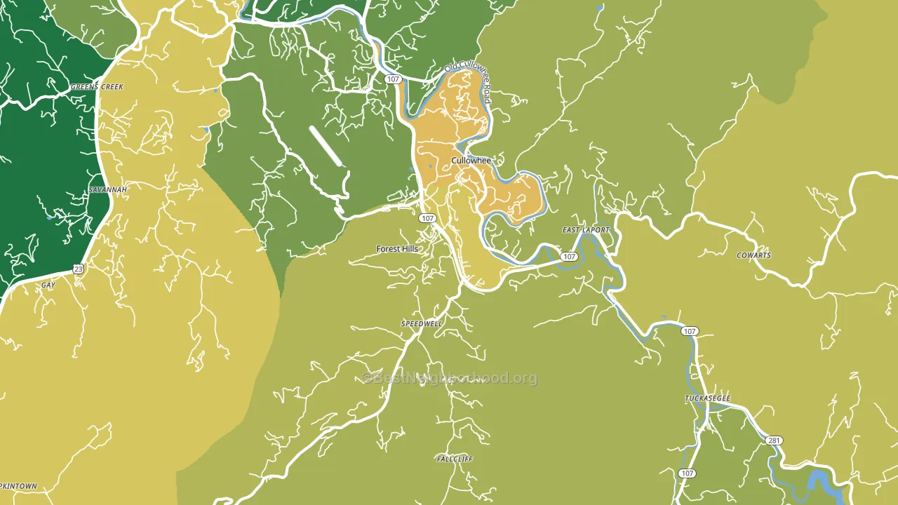 Cullowhee, NC block-group voter-turnout map
