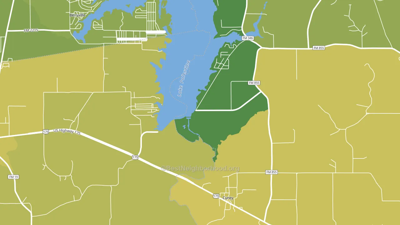 Cuney, TX block-group voter-turnout map