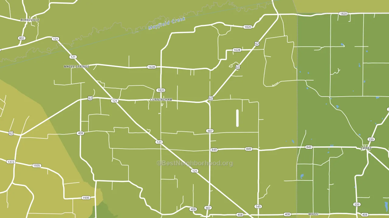 Cunningham, KY block-group voter-turnout map