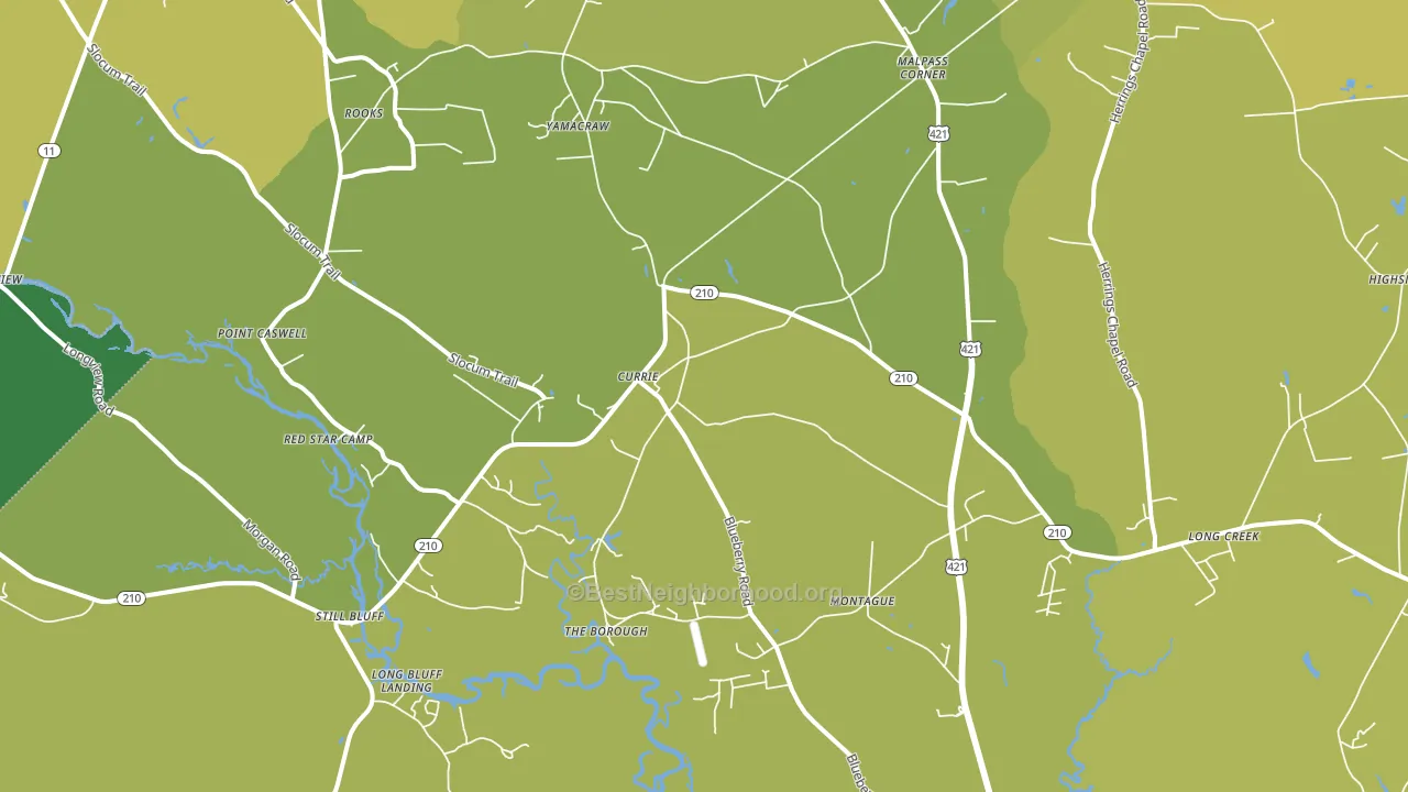 Currie, NC block-group voter-turnout map