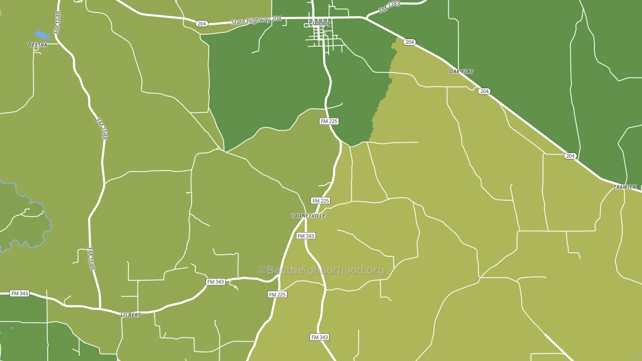 Cushing, TX block-group voter-turnout map