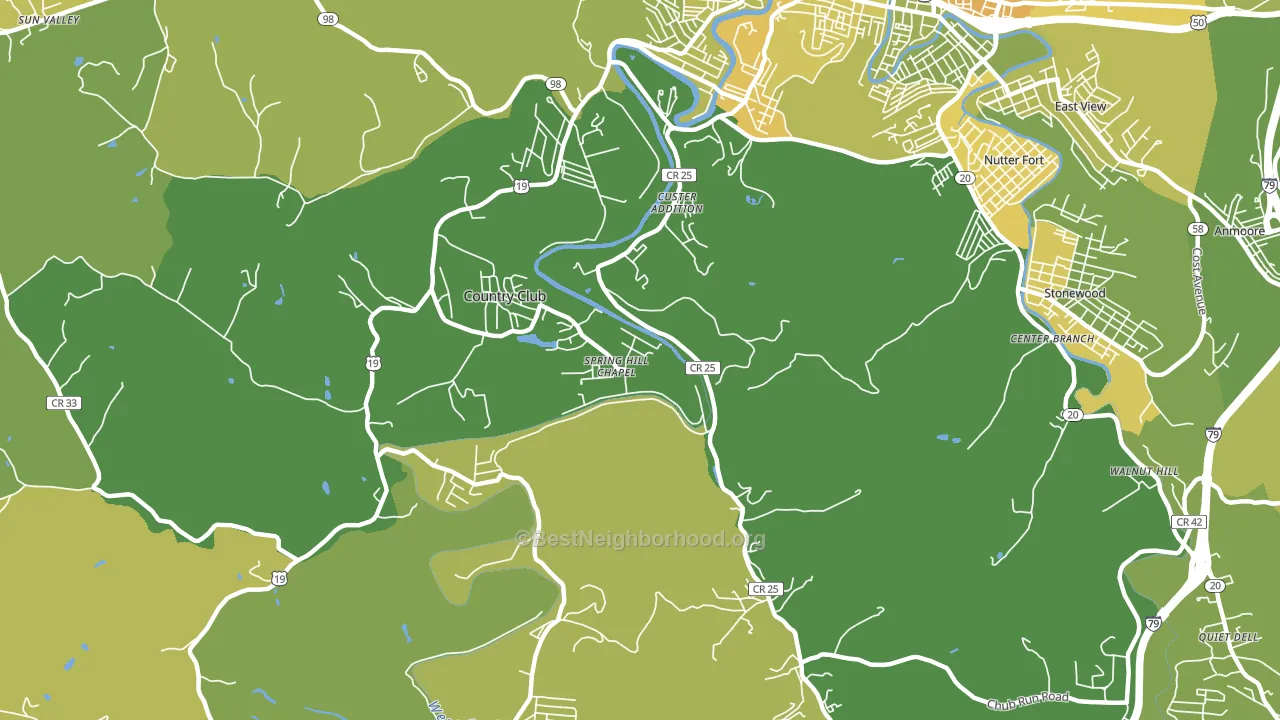 Custer Addition, WV block-group voter-turnout map