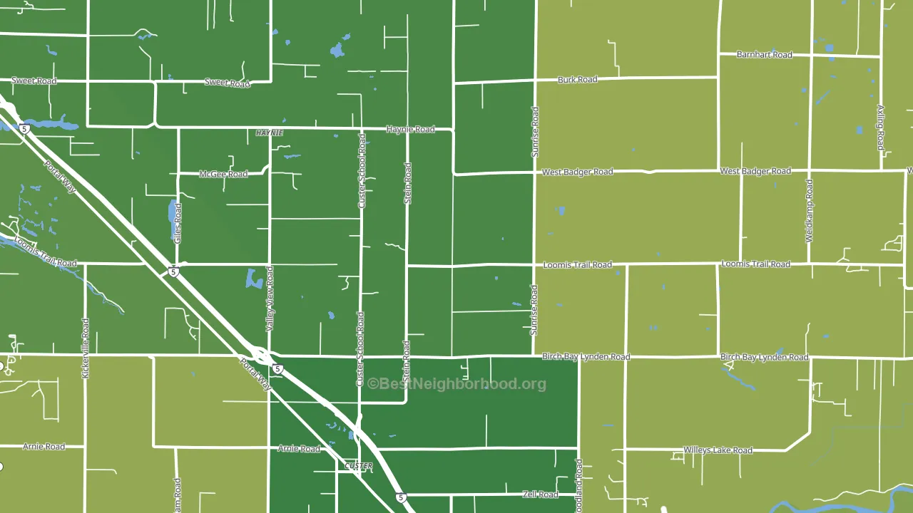 Custer, WA block-group voter-turnout map