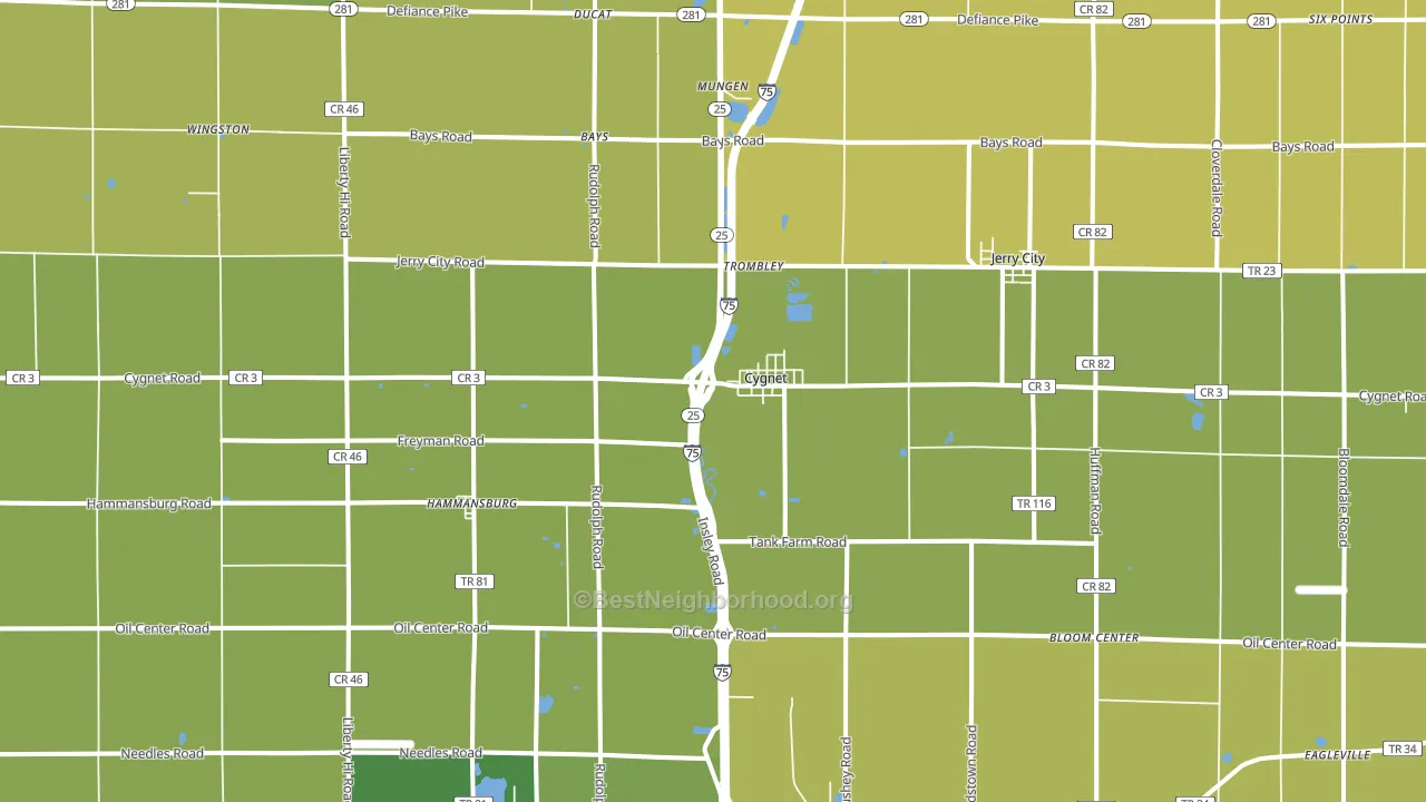 Cygnet, OH block-group voter-turnout map