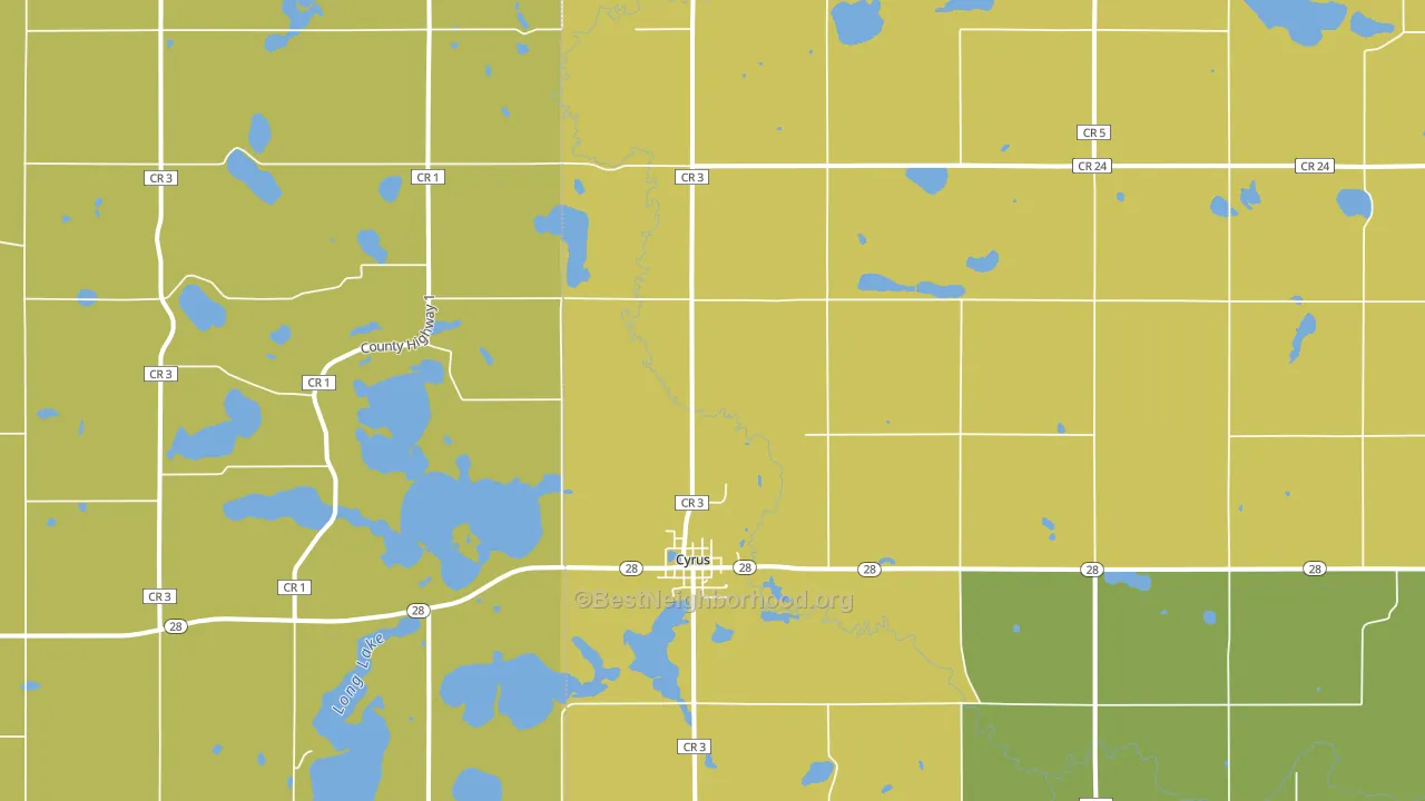 Cyrus, MN block-group voter-turnout map