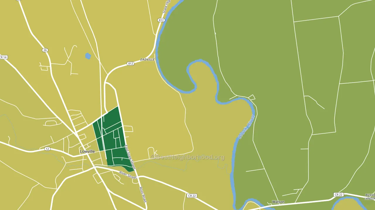 Dadville, NY block-group voter-turnout map