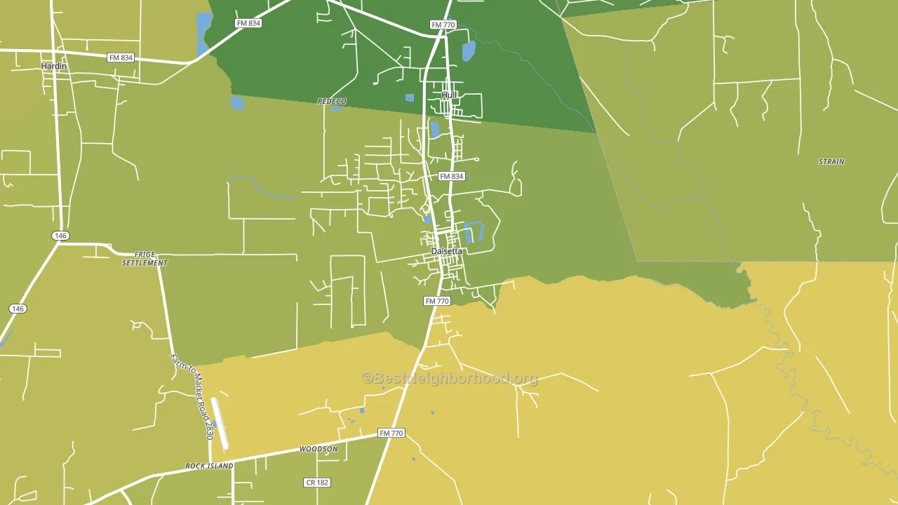 Daisetta, TX block-group voter-turnout map
