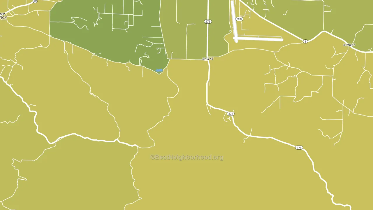 Dallas, AR block-group voter-turnout map